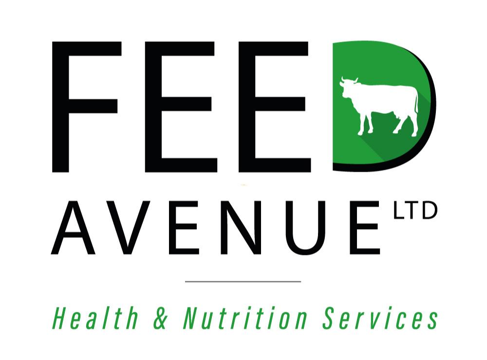 Feed Avenue Ltd Cattle Logo